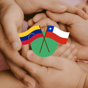 guÍa definitiva (5)